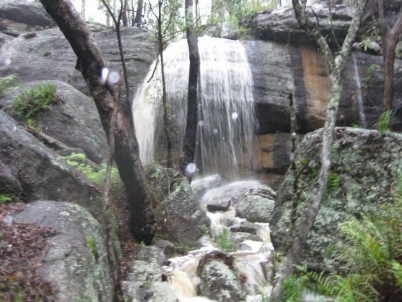 Cedar Creek QLD 4207