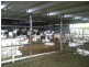 Maclagan QLD 4352