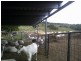 Maclagan QLD 4352