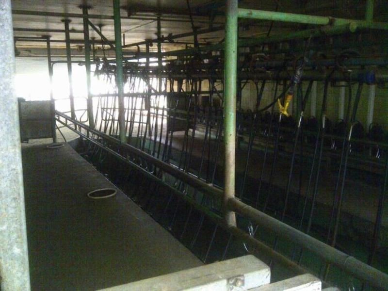 Maclagan QLD 4352