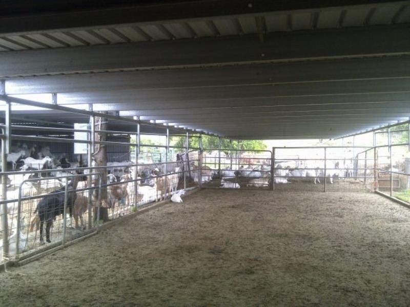 Maclagan QLD 4352