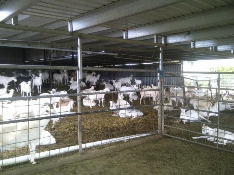 Maclagan QLD 4352
