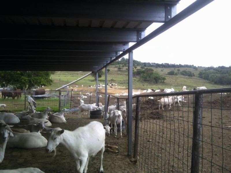 Maclagan QLD 4352