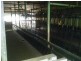 Maclagan QLD 4352