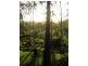 622 Calliope River Rd, West Stowe QLD 4680