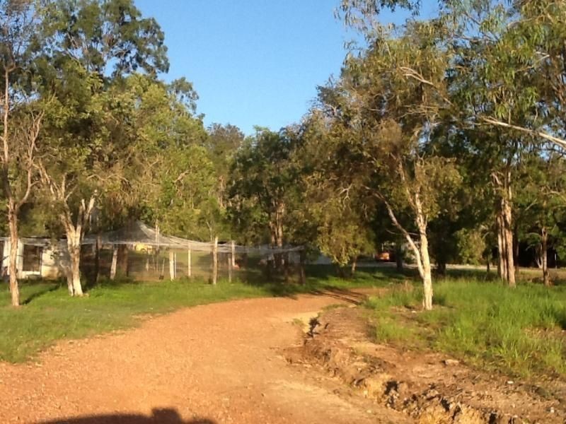 622 Calliope River Rd, West Stowe QLD 4680