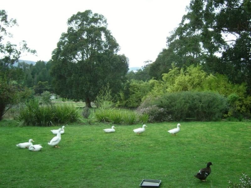 28 Tabors Road, Margate TAS 7054