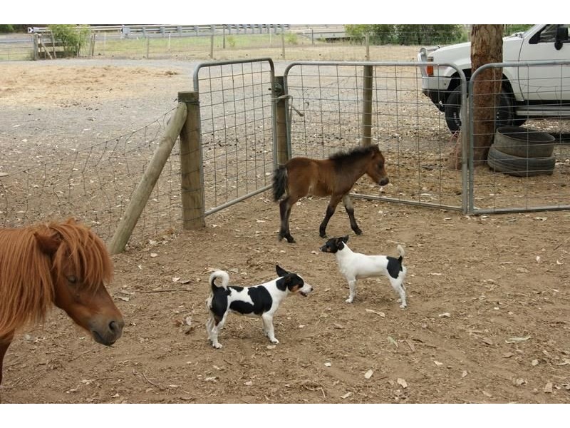 76 Henry Street, Nanango QLD 4615