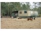 76 Henry Street, Nanango QLD 4615
