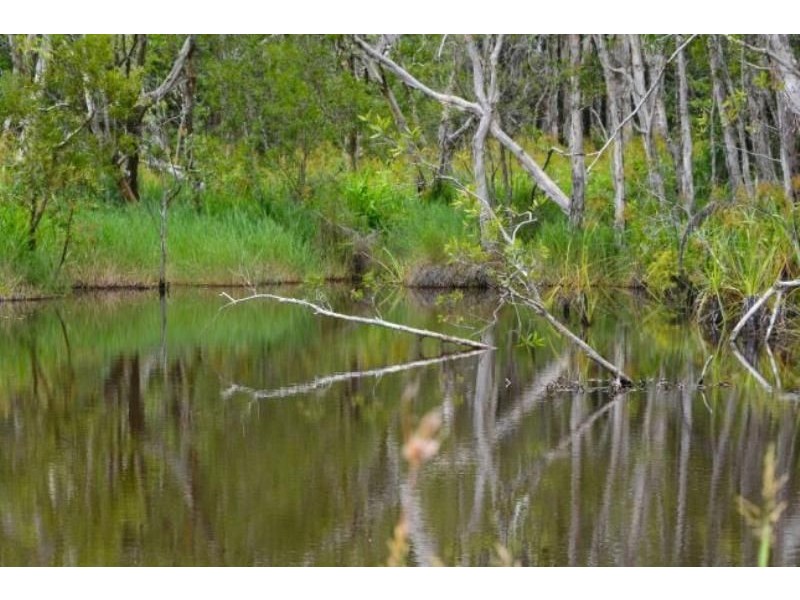 Glass House Mountains QLD 4518