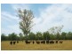 Atkinsons Dam QLD 4311
