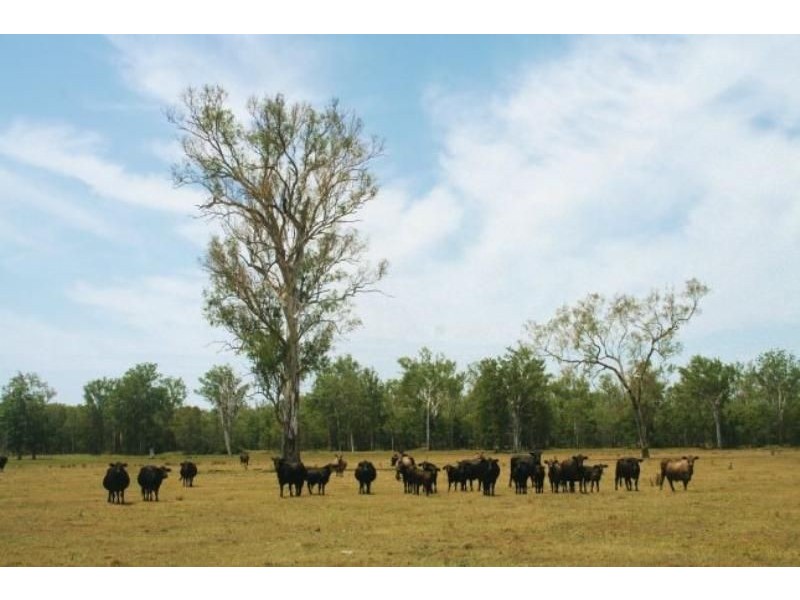 Atkinsons Dam QLD 4311