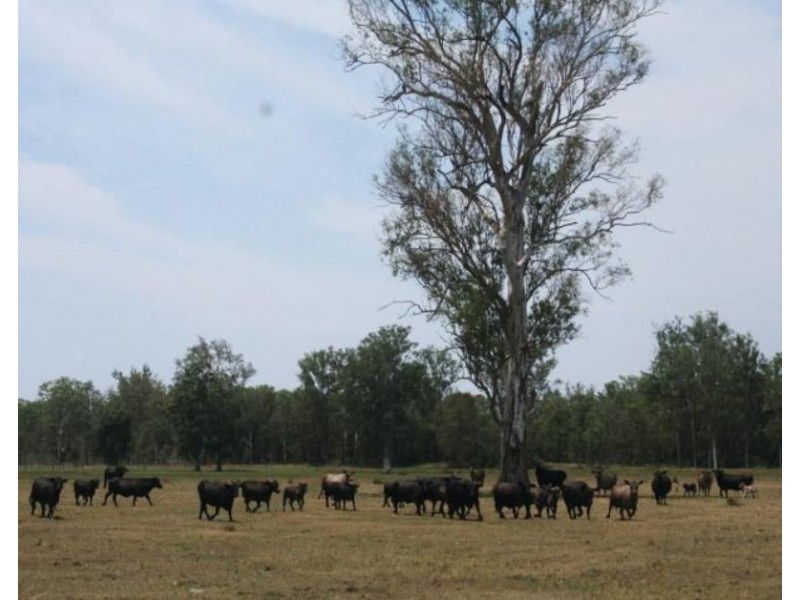 Atkinsons Dam QLD 4311