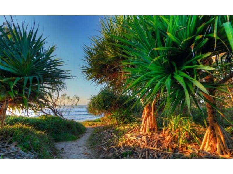 Iluka NSW 2466