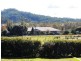 Aberglasslyn NSW 2320