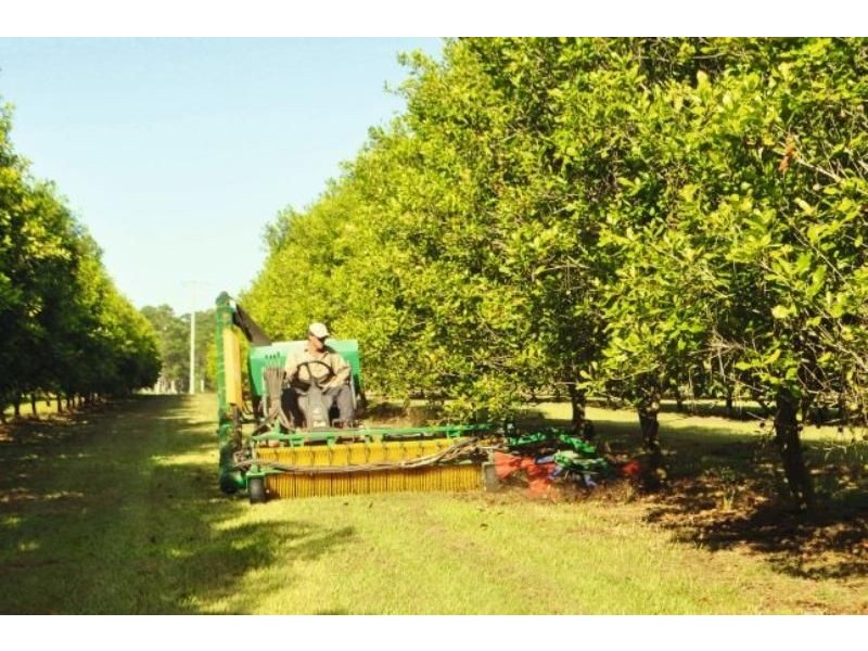 Talegalla Weir QLD 4650