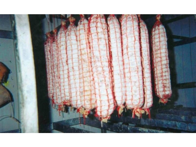 Burleigh Heads QLD 4220