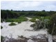 French Island VIC 3921