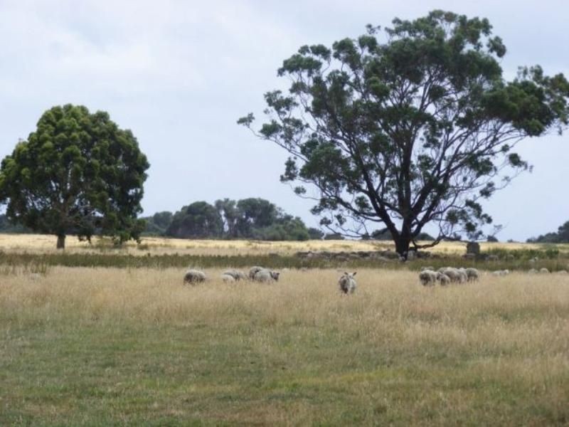 French Island VIC 3921