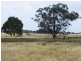 French Island VIC 3921
