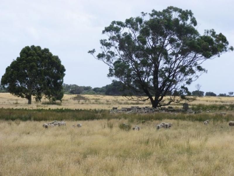 French Island VIC 3921