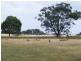French Island VIC 3921
