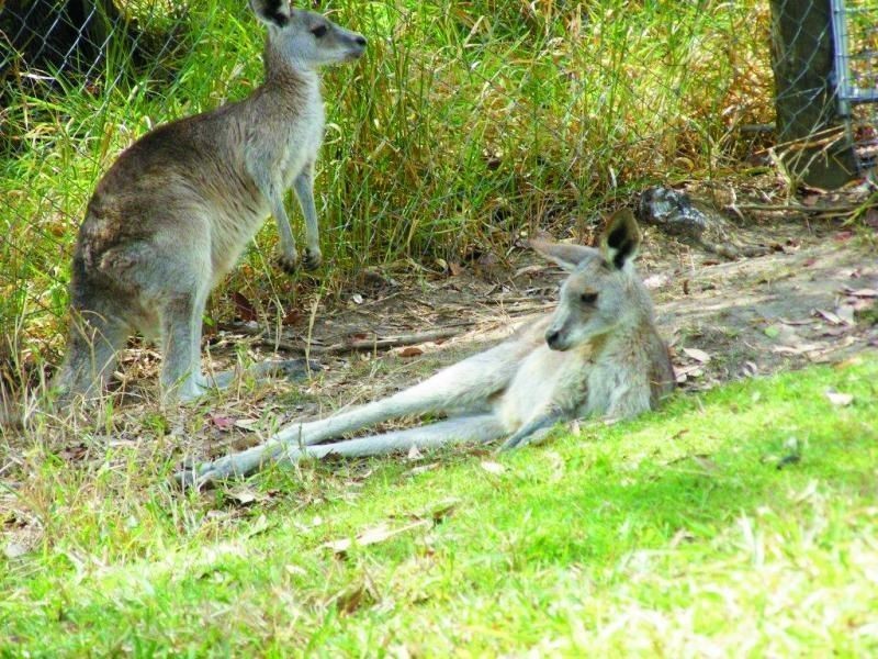 Childers QLD 4660