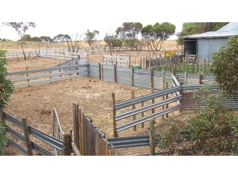 Lameroo SA 5302