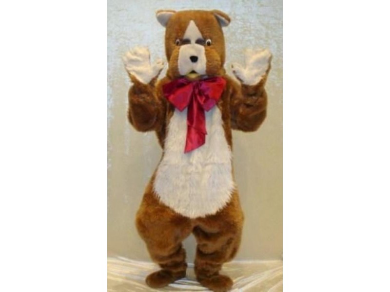 Shop 5/467 Fullarton Rd, Highgate SA 5063