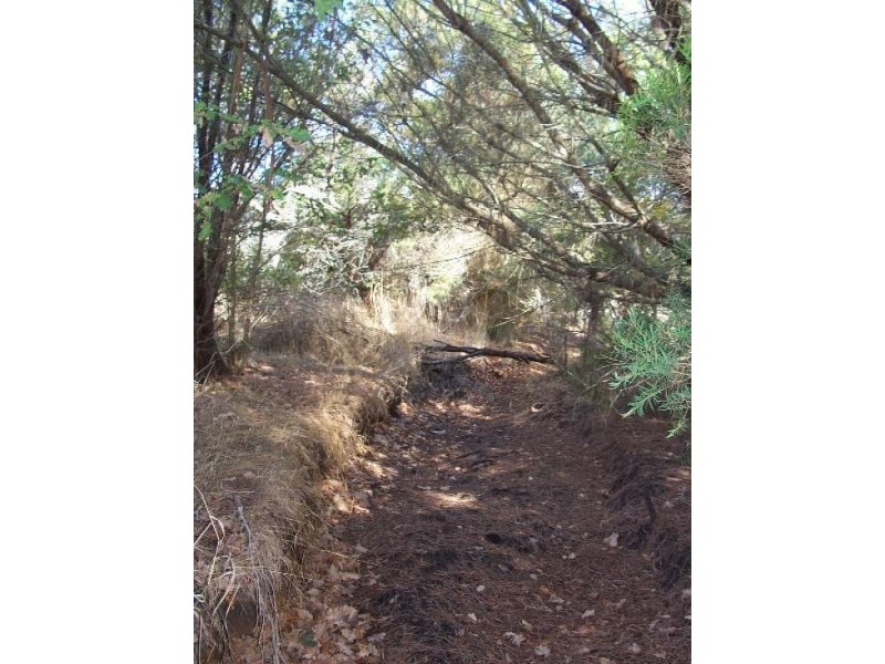 2948/2 Matthew Road, Youngs Siding WA 6330