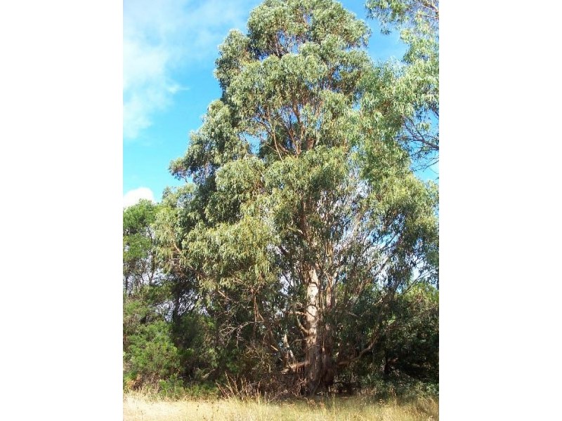 2948/2 Matthew Road, Youngs Siding WA 6330