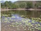 19 Bruce Highway, Bambaroo QLD 4850