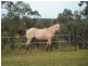 19 Bruce Highway, Bambaroo QLD 4850