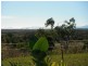 19 Bruce Highway, Bambaroo QLD 4850