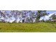 Lot 153 Jourdana Drive, Cedar Creek QLD 4207