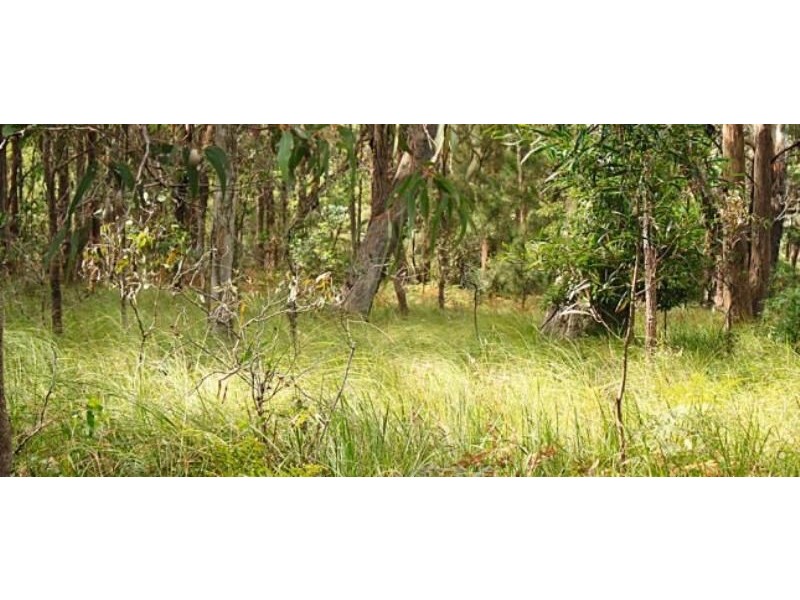Bingie NSW 2537