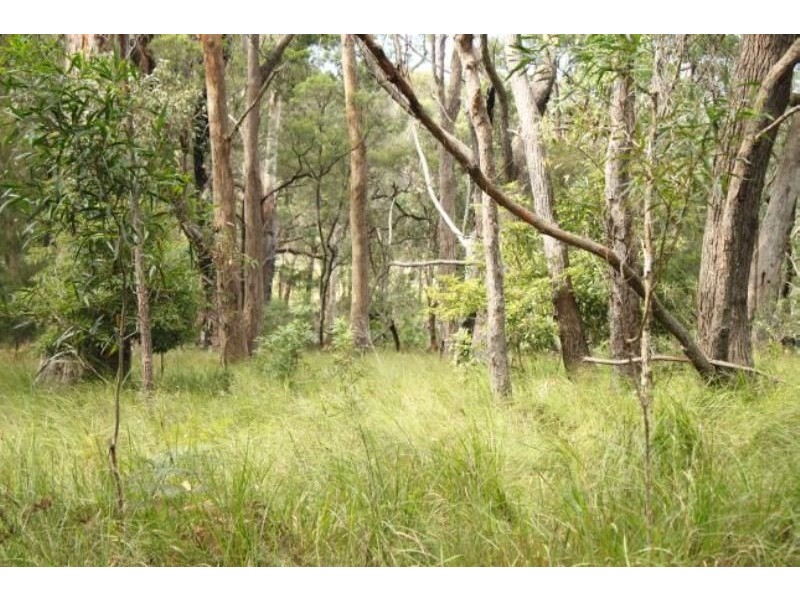 Bingie NSW 2537