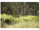 Bingie NSW 2537