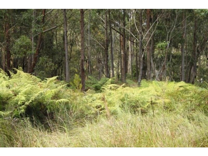 Bingie NSW 2537