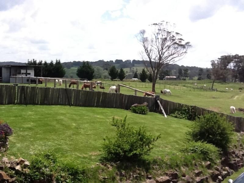 100 Pretty Valley Road, Glen Innes NSW 2370