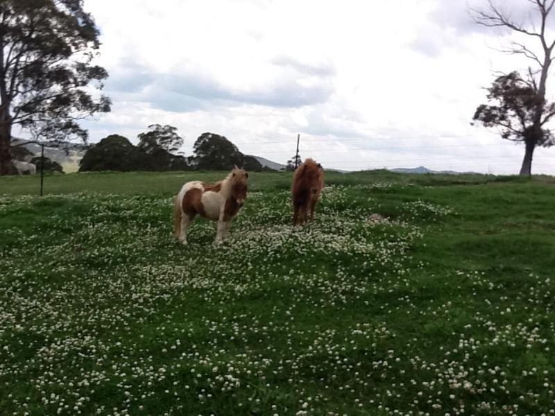 100 Pretty Valley Road, Glen Innes NSW 2370