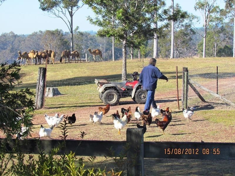 264 Thompson Road, Woocoo QLD 4620