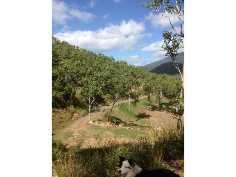 26 Godier Rd, Alligator Creek QLD 4816