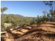 26 Godier Rd, Alligator Creek QLD 4816