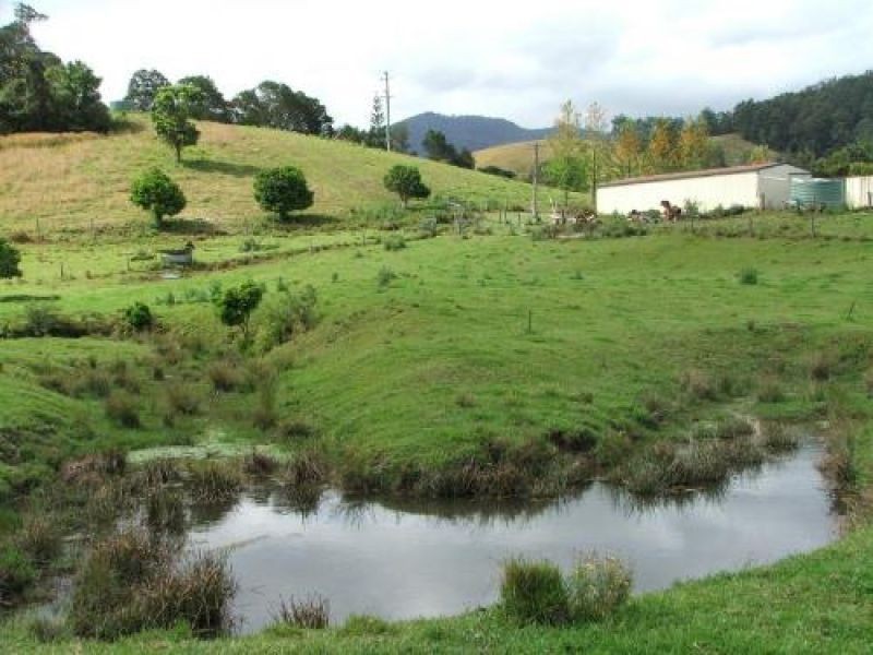 3901 Taylors Arm Road, Burrapine NSW 2447 the real estate agency