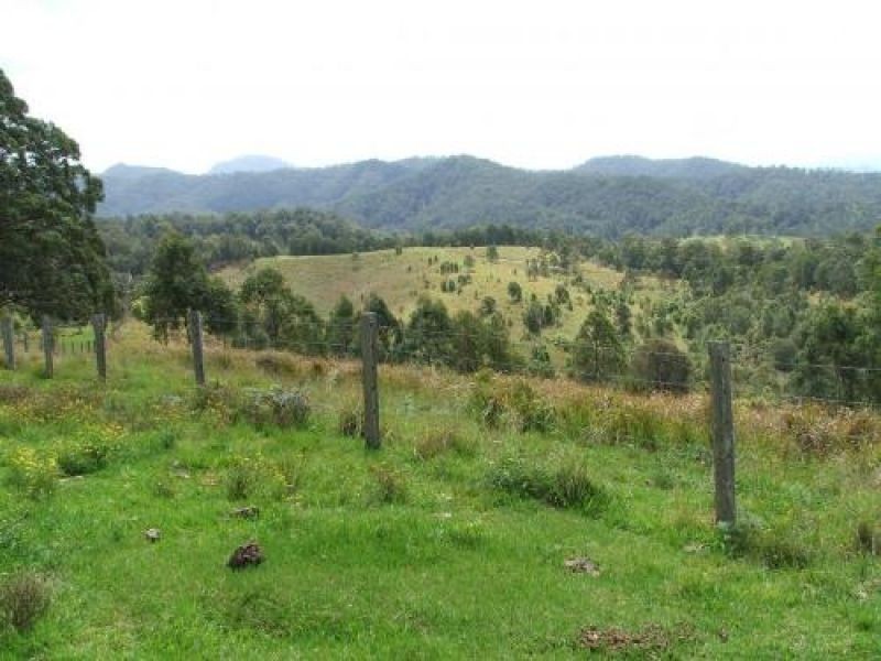 3901 Taylors Arm Road, Burrapine NSW 2447