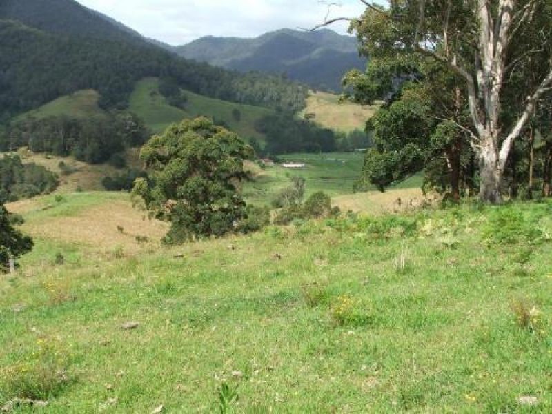 3901 Taylors Arm Road, Burrapine NSW 2447