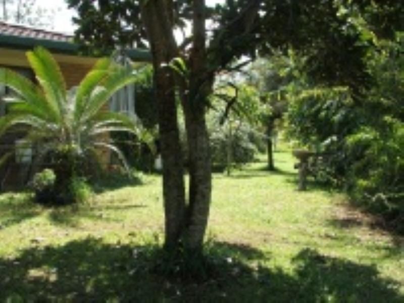 3901 Taylors Arm Road, Burrapine NSW 2447