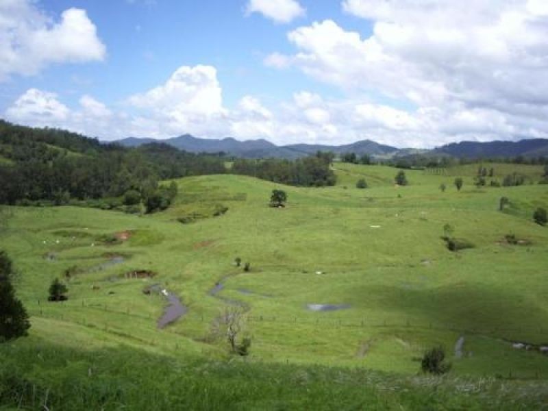 3901 Taylors Arm Road, Burrapine NSW 2447