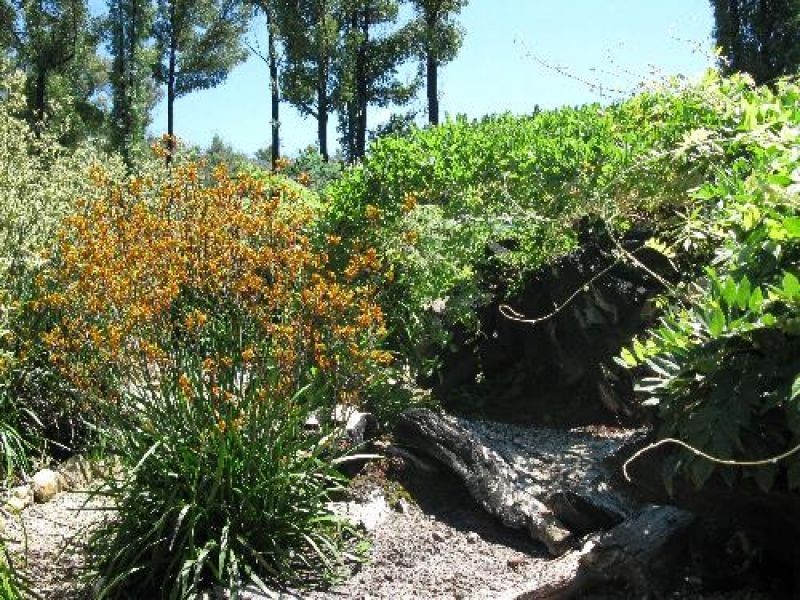 45-47 Lyell Street, Marysville VIC 3779